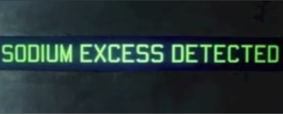 Black screen with green text that says, "Sodium Excess detected"